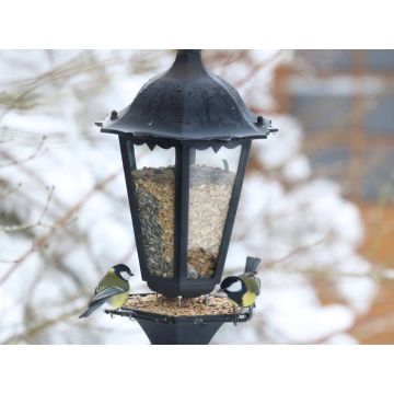 Digital-Webinar DIY Vogel-Futterstelle