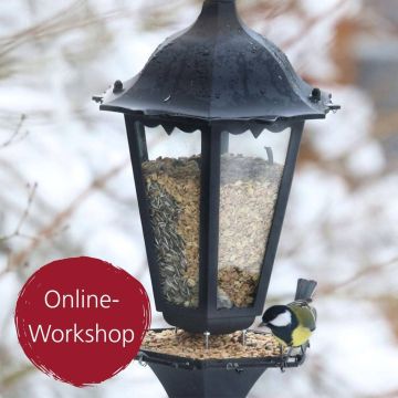 Digital-Webinar DIY Vogel-Futterstelle