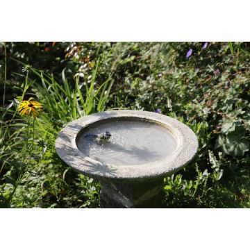 Digital-Webinar Vogeltränke aus Beton