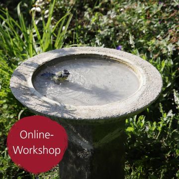 Digital-Webinar Vogeltränke aus Beton
