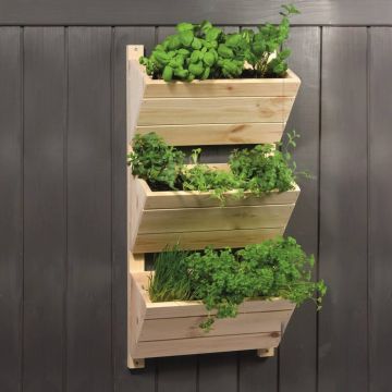 Vertikaler Holzpflanzer mit drei schrägen Pflanzkästen, an einer dunkelgrauen Wand montiert, bepflanzt mit verschiedenen Küchenkräutern wie Basilikum, Petersilie und Schnittlauch.