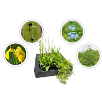 4er Set Schwimminsel