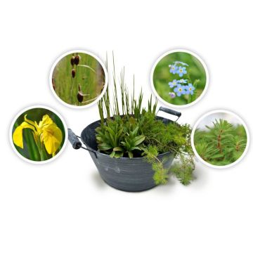 4er Set Miniteich Zinkoptik