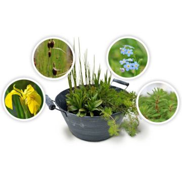 4er Set Miniteich Zinkoptik