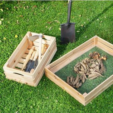 Holzkiste mit Gartenwerkzeugen auf Gras, die diverse Handgeräte wie Schaufel und Hacke enthält. Neben der Kiste liegt eine weitere Holzkiste mit einem Gitterboden, gefüllt mit getrockneten Blättern und Knollen. Im Hintergrund steht eine Schaufel aufrecht