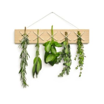 Holztäfelchen mit Haken, an denen fünf Bündel frische Kräuter hängen: Rosmarin, Salbei, Basilikum, Oregano und Thymian. Die Anordnung ist dekorativ und dient zur Aufbewahrung von Kräutern in der Küche.