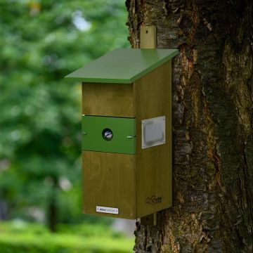 Grünes und braunes Vogelhaus mit rechteckiger Form, glatter Holzstruktur, montiert an rauer Baumrinde vor grünem Hintergrund.