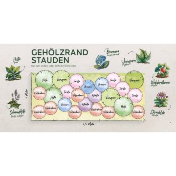 Staudenbeet Gehölzrand Schatten (24 Pflanzen)