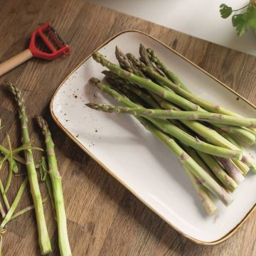 Frische grüne Spargelstangen liegen auf einem rechteckigen weißen Teller mit schmalem goldfarbenem Rand und feinen braunen Sprenkeln. Der Teller steht auf einer Holzarbeitsplatte. Links daneben befinden sich bereits geschälte Spargelstangen und ein Sparsc