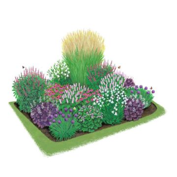 Illustration eines rechteckigen Blumenbeets mit verschiedenen bunten Blumen und Pflanzenarten, darunter Lavendel, Gräser und weiße Blüten, auf einem grünen Rasenstück. Zwei Schmetterlinge fliegen umher.