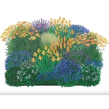 Illustration eines üppigen Blumenbeets mit verschiedenen bunten Blumen in Gelb, Violett und Blau, ergänzt durch grüne Blätter. Ideal für Gartenliebhaber und als Anregung für die Gartengestaltung im Online-Shop.