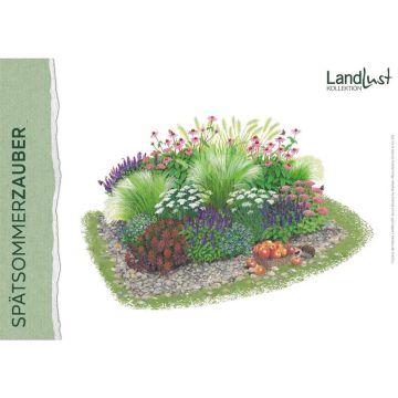 Staudenbeet Spätsommerzauber
