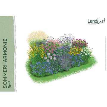 Staudenpaket „Sommerharmonie 3qm"