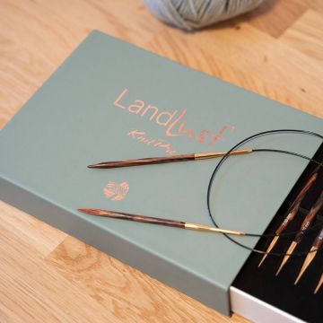 Rechteckige, hellgrüne Kartonverpackung mit goldener Aufschrift „LandLust KnitPro“ steht auf einem Holzuntergrund. Vor der Schachtel liegt eine Rundstricknadel, rechts am Bildrand ist ein Knäuel hellgraues Garn zu sehen. Der Hintergrund ist neutral.