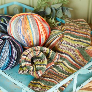 Mehrere bunte Knäuel Sockenwolle und ein gestrickter, gerollter Strumpf liegen dekorativ in einem hellblauen Metalltablett, dahinter einige grüne Zweige; die Wolle zeigt unterschiedliche, mehrfarbige Streifenmuster für selbstgestrickte Socken.