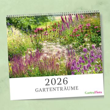 Kalendercover mit üppiger Blumenwiese aus lila und rosa Blüten, Titel: „2026 Gartenträume“, Verlag: GartenFlora. Der Kalender ist spiralgebunden und auf einem hellgrünen Hintergrund dargestellt.