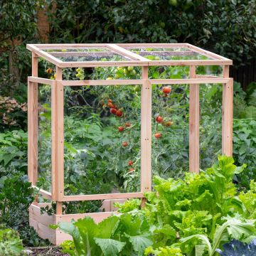 Tomatenhaus aus Holz