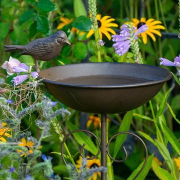 Vogeltränke Metall schwarz-braun mit Stab