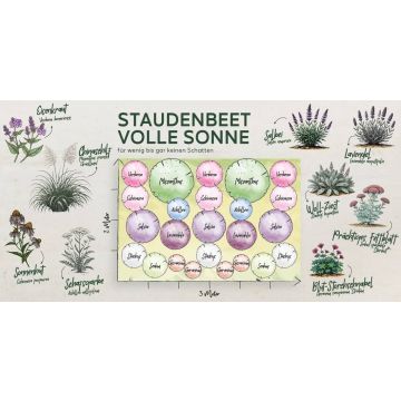 Staudenbeet "Volle Sonne"