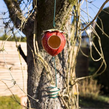Vogeltränke und Futterhaus Erdbeere