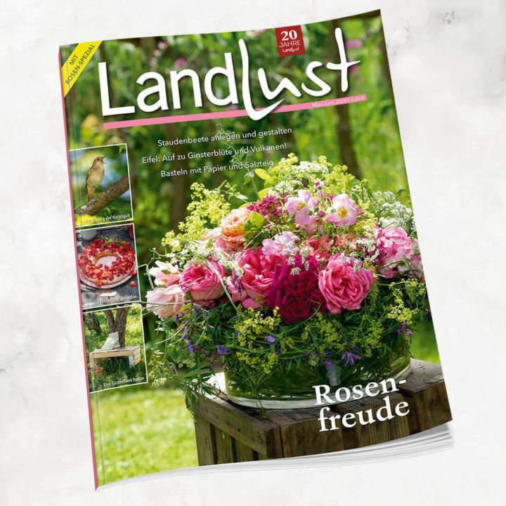 Titelbild der Zeitschrift &bdquo;Landlust&ldquo; Mai/Juni 2024 mit einem Blumenarrangement aus Rosen auf einem Holztisch im Freien; Texthinweise zu Garten- und Bastelthemen, linke Spalte mit Fotos zu weiteren Inhalten.









ChatGPT fragen
