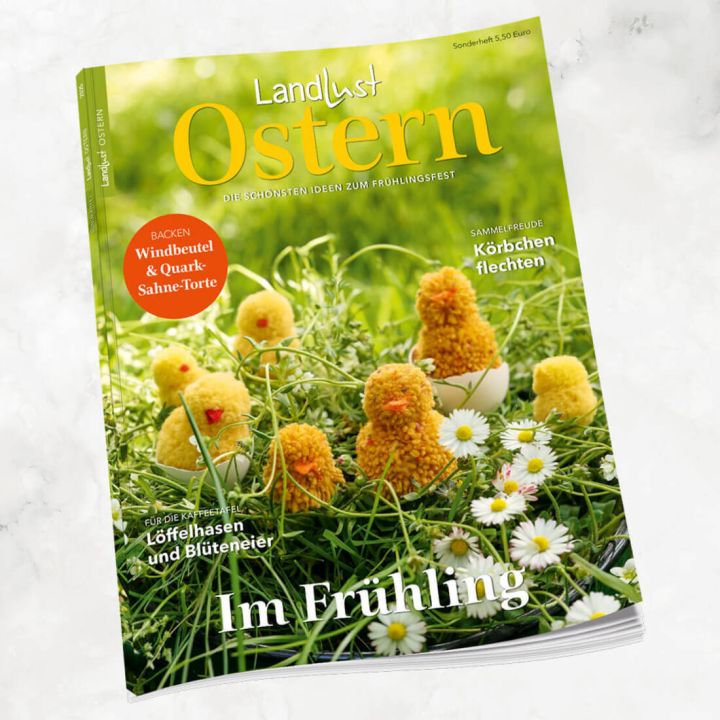 Magazin &bdquo;Landlust Ostern&ldquo; mit Fr&uuml;hlingswiese, gelben Pompon-K&uuml;ken, G&auml;nsebl&uuml;mchen; Titeltexte zu Backrezepten, Bastelideen und Dekorationen f&uuml;r Ostern; Preisangabe 5,50 Euro oben rechts.









