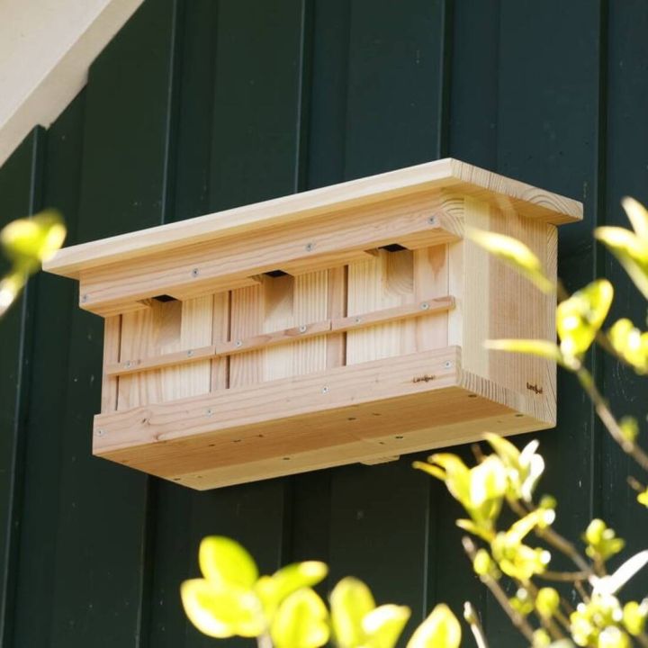 Holzbienenhotel mit mehreren Einflugl&ouml;chern, befestigt an einer dunkelgr&uuml;nen Wand, umgeben von gr&uuml;nen Zweigen im Vordergrund.