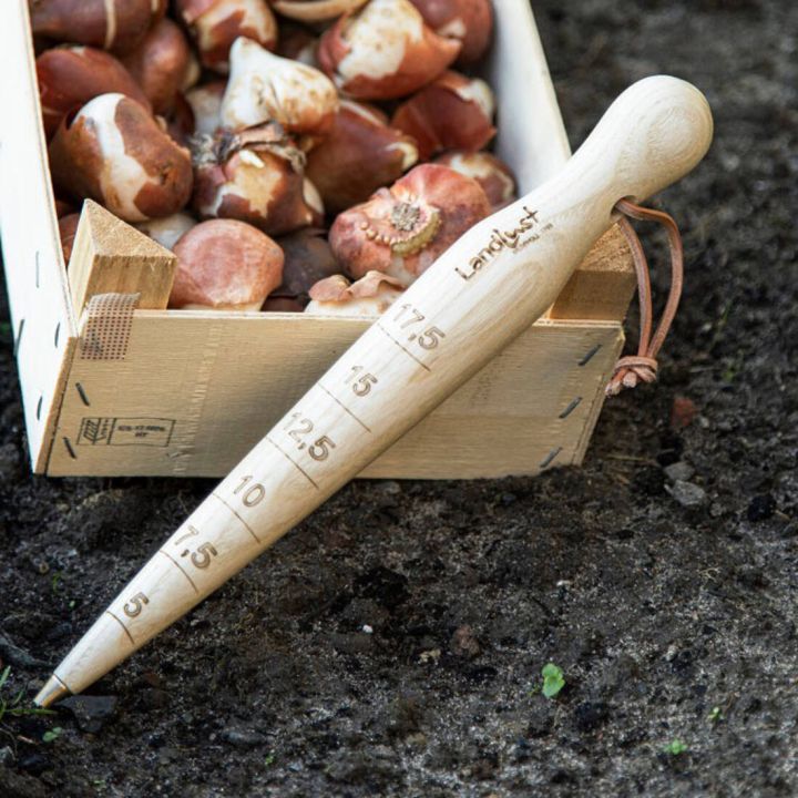 Ein hölzerner Pflanzstab mit Längenmarkierungen in Zentimetern liegt neben einer Holzkiste voller Blumenzwiebeln auf Erde. Der Stab hat eine Lederschlaufe am Griff und ist mit "Landlust" beschriftet.
