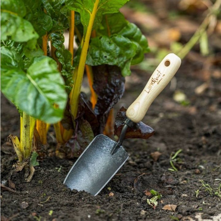 Gartenkelle mit Holzgriff steckt schr&auml;g im Erdboden neben einer gr&uuml;nen, blattreichen Gem&uuml;sepflanze. Kellenblatt ist aus Metall und zeigt Gebrauchsspuren. Auf dem Griff steht "Landlust". Umgebung zeigt fruchtbare Gartenerde.