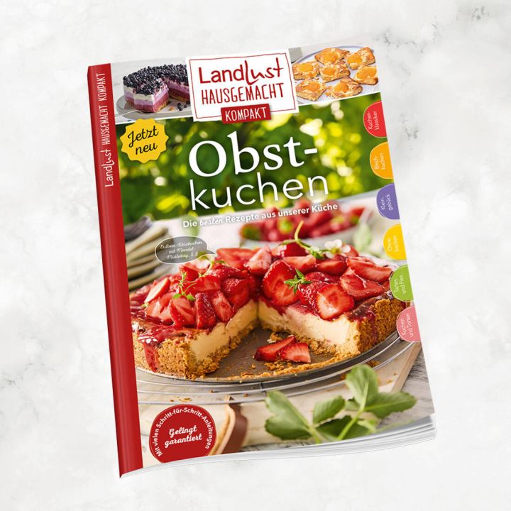 Titelbild eines Backmagazins &bdquo;Landlust Hausgemacht Kompakt&ldquo;. Thema: Obstkuchen. Foto eines Erdbeerkuchens mit St&uuml;ck herausgeschnitten. Gelbes Siegel &bdquo;Jetzt neu&ldquo;. Roter Hinweis &bdquo;Gelingt garantiert&ldquo;. Kategorien am Rand: Kuchen, Geb&auml;ck, etc.