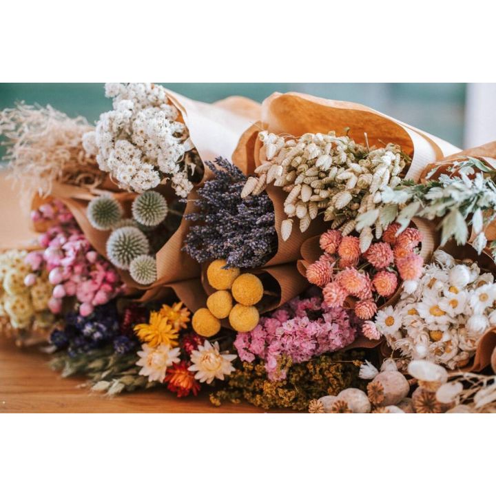 Digital-Workshop Trockenblumen
