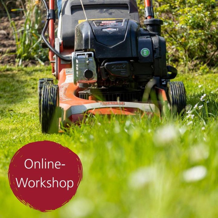 Digital-Webinar Gesunder Rasen