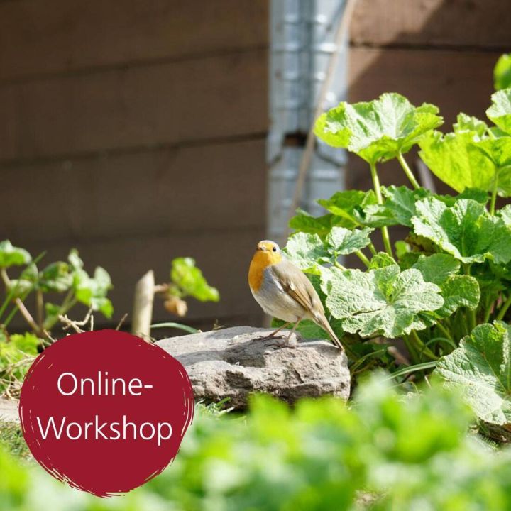 Digital-Webinar Tierfreundlicher Garten
