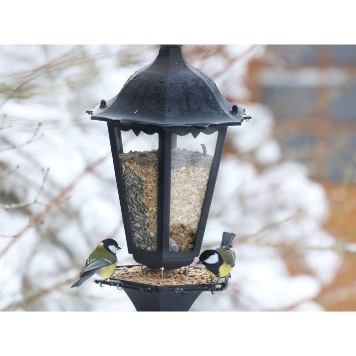 Digital-Webinar DIY Vogel-Futterstelle