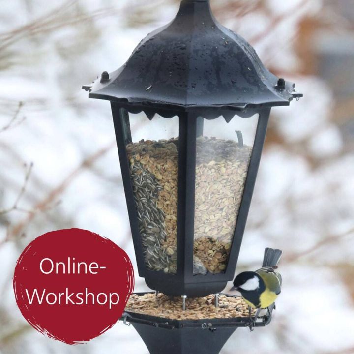 Digital-Webinar DIY Vogel-Futterstelle