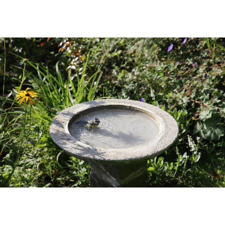 Digital-Webinar Vogeltränke aus Beton