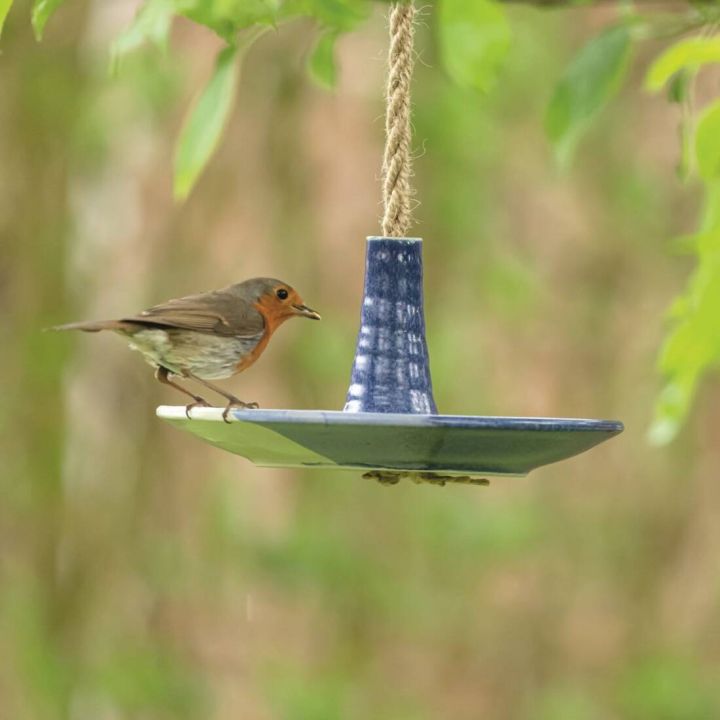 Ein Rotkehlchen sitzt auf einer blauen, hängenden Vogeltränke aus Keramik im Freien, umgeben von unscharfem grünem Hintergrund.