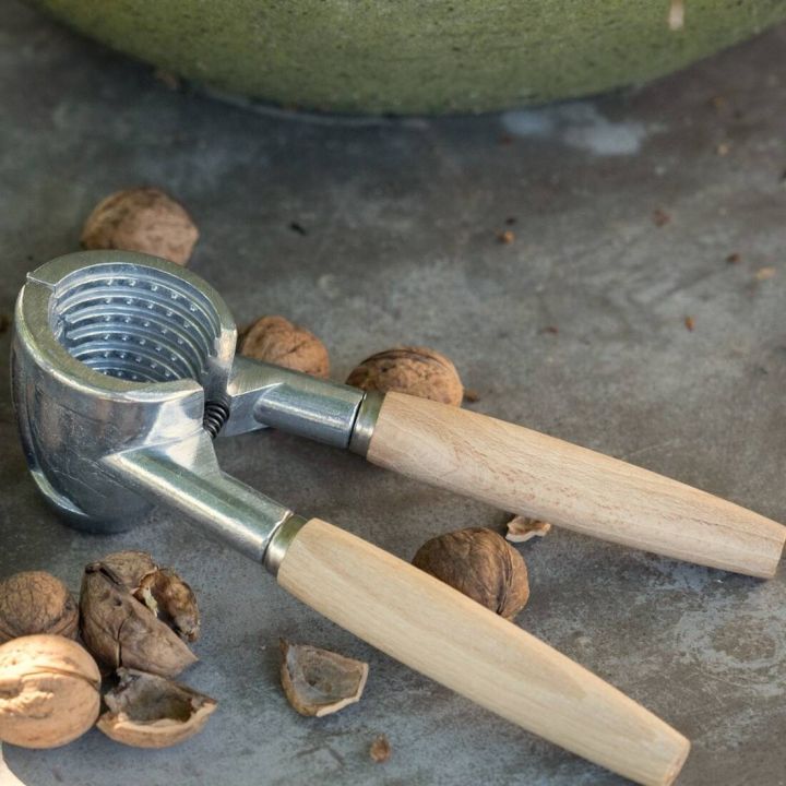 Nussknacker aus Metall mit Holzgriffen liegt auf grauem Untergrund, umgeben von geöffneten und geschlossenen Walnüssen.