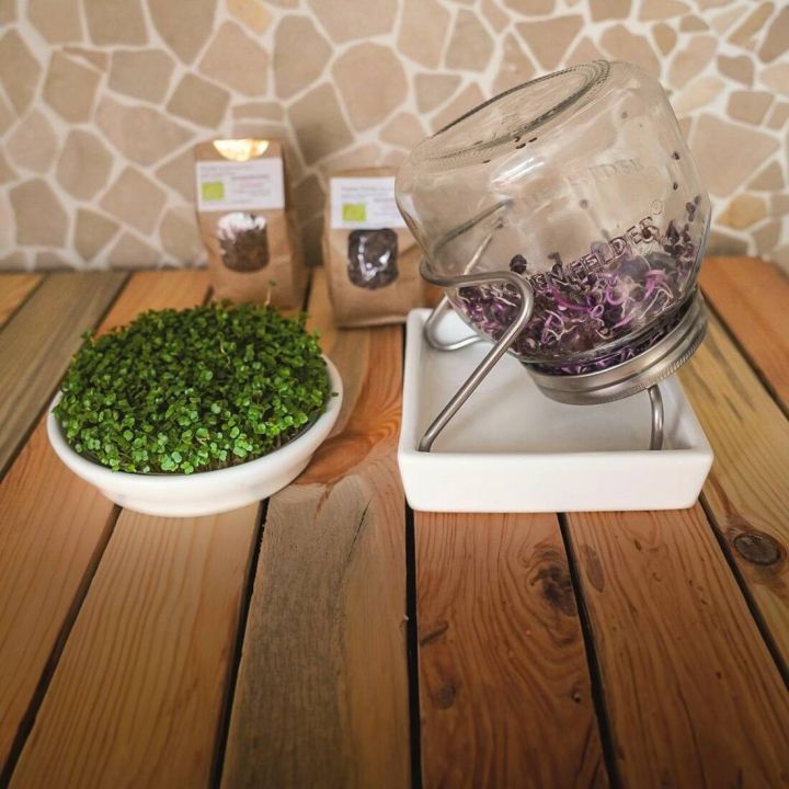 Ein Sprossenglas in einem Halter neben einer Schale voll grüner Keimlinge, auf einem Holztisch platziert. Im Hintergrund stehen zwei Packungen mit Saatgut.