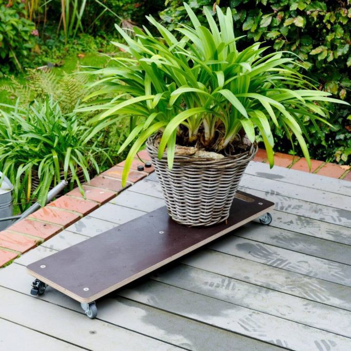 Pflanzgefäß aus geflochtenem Material mit grüner Zimmerpflanze steht auf einem flachen Rollbrett mit vier Lenkrollen auf einer Holzterrasse im Garten.