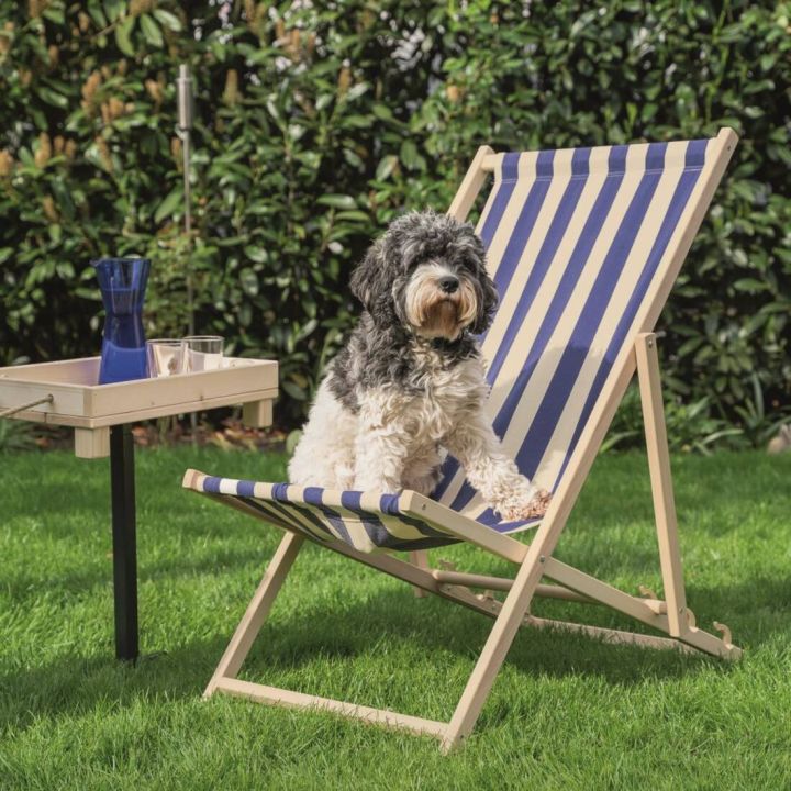 Kleiner schwarz-weiß gelockter Hund sitzt auf einem blau-weiß gestreiften Liegestuhl im Garten; daneben ein Beistelltisch mit Karaffe und zwei Gläsern auf grünem Rasen vor einer dichten Hecke.