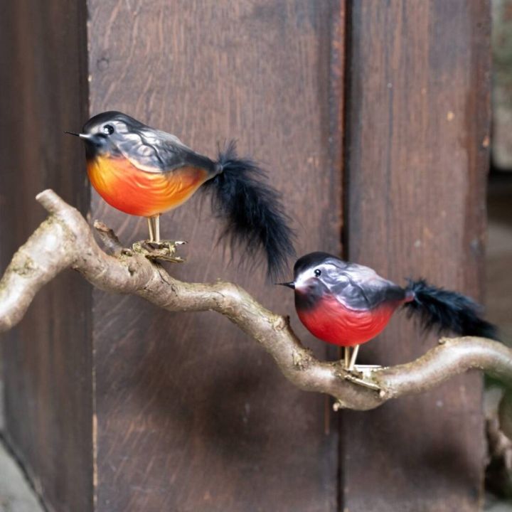 Zwei fig&uuml;rliche V&ouml;gel mit schwarzen K&ouml;pfen, orangen und roten B&auml;uchen sowie schwarzen Federkielen sitzen auf einem Ast vor einem dunklen, strukturierten Hintergrund.