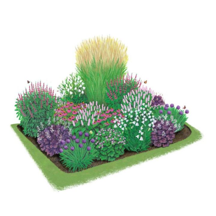Illustration eines rechteckigen Blumenbeets mit verschiedenen bunten Blumen und Pflanzenarten, darunter Lavendel, Gräser und weiße Blüten, auf einem grünen Rasenstück. Zwei Schmetterlinge fliegen umher.