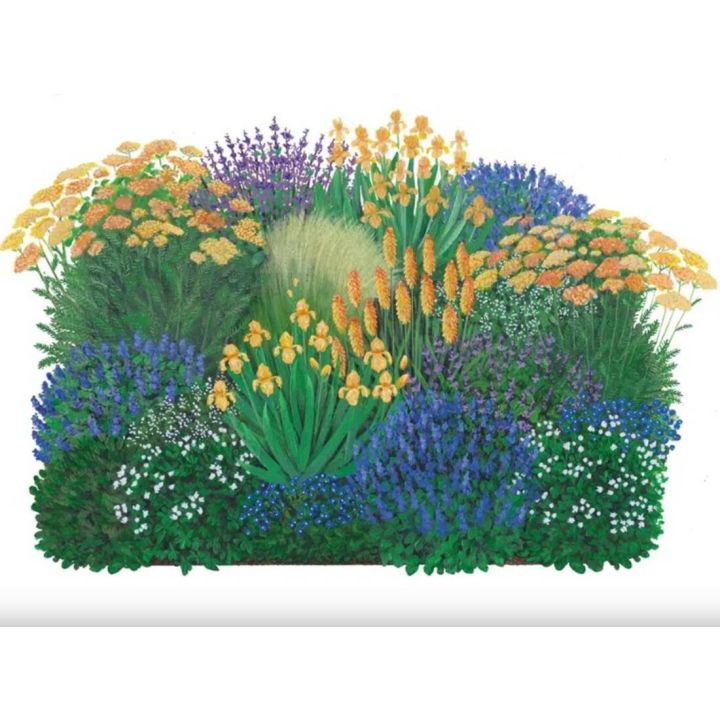 Illustration eines üppigen Blumenbeets mit verschiedenen bunten Blumen in Gelb, Violett und Blau, ergänzt durch grüne Blätter. Ideal für Gartenliebhaber und als Anregung für die Gartengestaltung im Online-Shop.