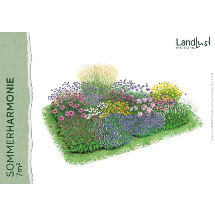 Staudenpaket „Sommerharmonie 7qm"