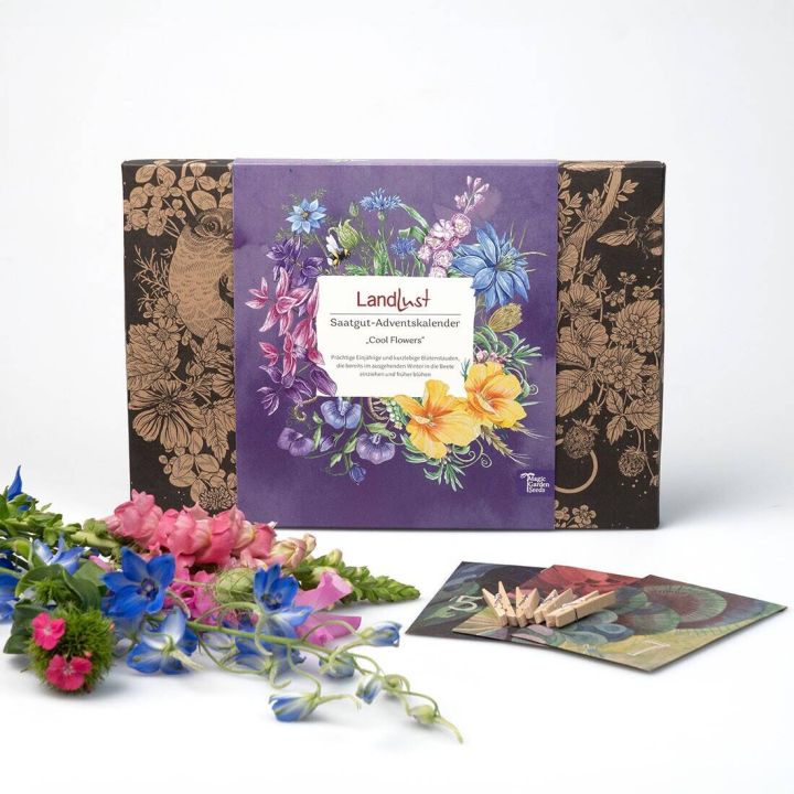 Saatgut-Adventskalender "Cool Flowers"