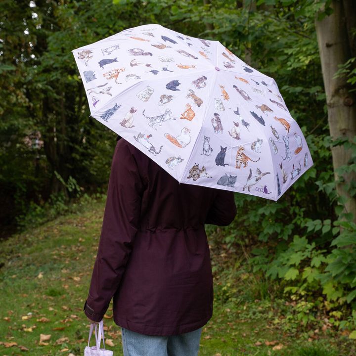 Person von hinten mit geöffnetem, hellen Regenschirm, dessen Bespannung mit zahlreichen gezeichneten Katzenmotiven bedruckt ist, in einem grünen, bewaldeten Außenbereich; die Person trägt eine dunkelviolette Jacke und hellblaue Hose.