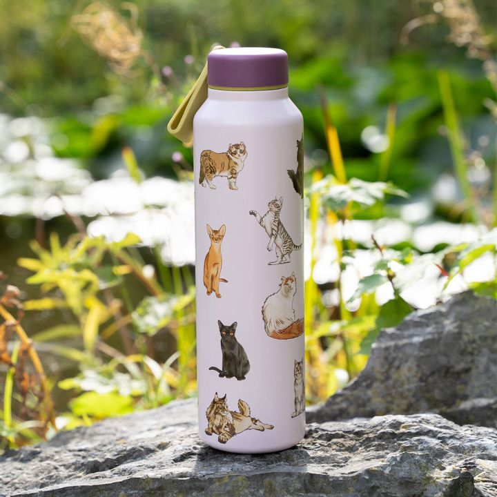 Hohe, rosafarbene Trinkflasche mit lilafarbenem Deckel und gelbem Trageband, im Freien auf einem Felsen stehend; der Flaschenkorpus ist ringsum mit farbigen Illustrationen verschiedener Katzenrassen in unterschiedlichen Posen bedruckt.