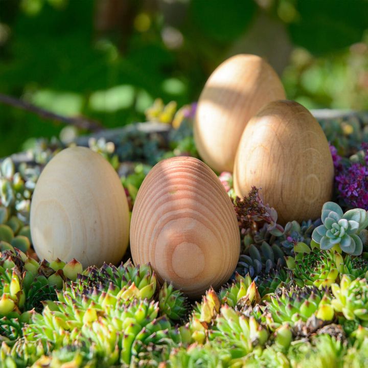 Holzfarbene Eier mit glatter Maserung liegen zwischen gr&uuml;nen und lilafarbenen Sukkulenten im Sonnenlicht.