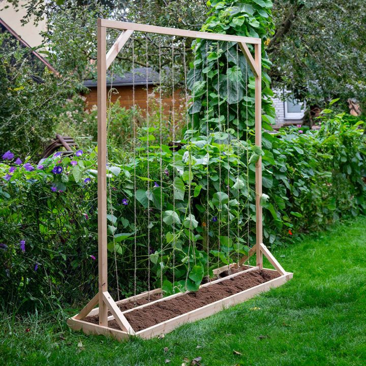 Rankhilfe Gemüse aus Kiefernholz